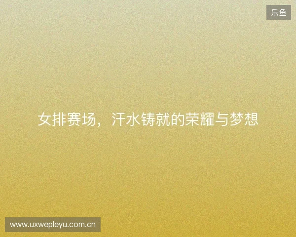 女排赛场,汗水铸就的荣耀与梦想 女排赛场,汗水铸就的荣耀与梦想